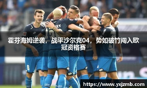 霍芬海姆逆袭，战平沙尔克04，势如破竹闯入欧冠资格赛
