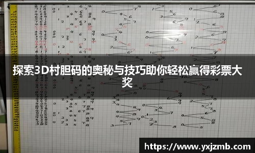 探索3D村胆码的奥秘与技巧助你轻松赢得彩票大奖